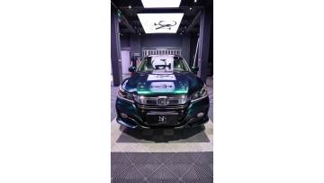 MP21-P Metal Paint Royal Green