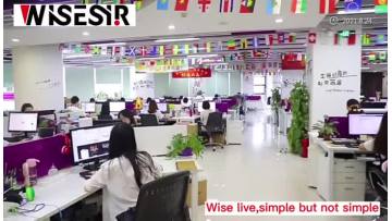 Wisesir logo customization