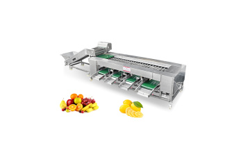 ST-FS2 Potato sorting machine