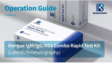 Dengue IgGIgM NS1 Combo Test Kit