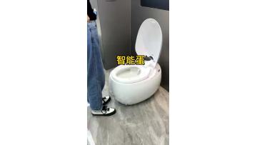 smart toilet2