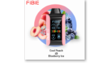 FIBIE VAPE 15000puffs geekbar eifbarvape igetbar