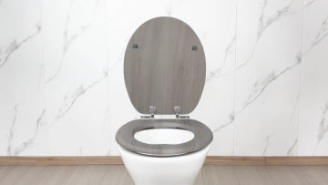 Fanmitrk Toilet Seat SDFM14212-48