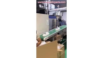 White injection molding parts