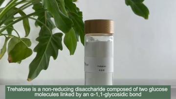  Trehalose Food Grade Sweetening