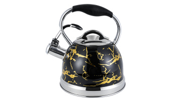 Stainless steel black whistle kettle FH-649C