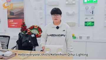 A6W Two heads Emergency Light