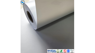Rigid PS Films Thermoforming PS Package Decoration