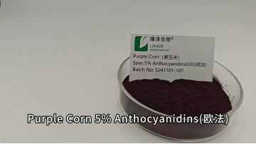 Purple Corn 5%  Anthocyanin