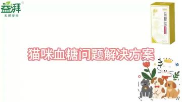 Pet Diabetes Supplements car