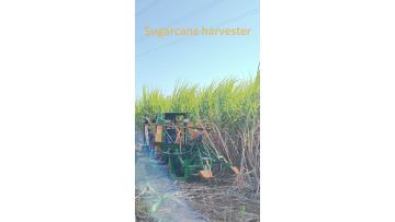 Sugarcane harvest machine