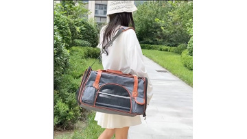 Spacious Breathable Pet Carrier for Travel