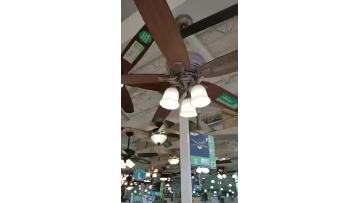 Ceiling Fan