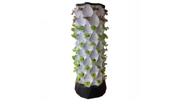 hydroponic system (2)