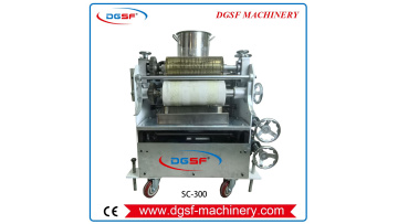 SC-300 Heel sole edge printing machine (6)_tmp