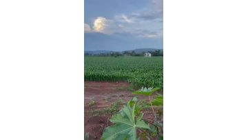 Agriculture drone video show from customers 2