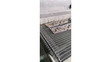 Spiral freezer for shrimp output part