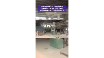 Video 30