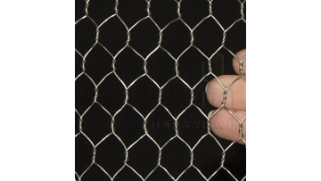 poultry netting chicken lowest price wire mesh philippines for sale1