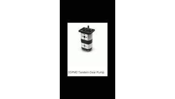 2GPM2 Tandem Gear Pump