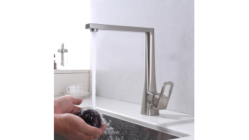 Spray Kitchen Faucet - DL-12054LS