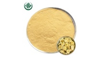 Original Factory Plastic Container Wild Flavone Instant Tea Chrysanthemum Extract Powder: Product Search and Information1