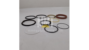 Seal Kit 191-5619