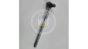 C13 Valve 224-3028
