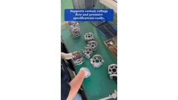 Video 13