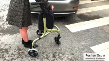 New Product 3 Wheel Rollator Rolling Walker with Shopping Bag 3 Wheels Design TRB011