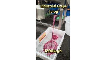 Industrial Grape Juicer