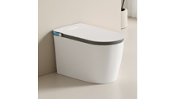 Smart Toilet with Automatic Sensor, Heated Seat, Self-Cleaning, and Remote Control1