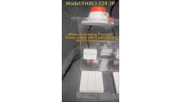 FH863-024-3P  Wireless lighting controller kit