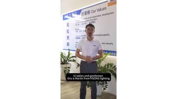 hanging LED linear light 6075