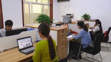 yunfeng company