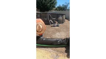 Artificial grass effect（2）