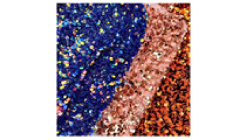 stock 5mm shiny Multi-color sequin velvet fabrirc 3D Embroidery Holographic sequin fabric for party dress1