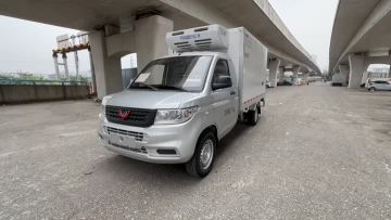 Wuling Zhiyue Rongguang New Truck Refrigerated Tru