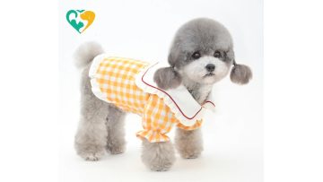 pet clothes