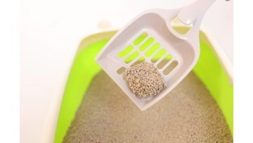 2.0mm and 3.0mm Bentonite Cat Litter