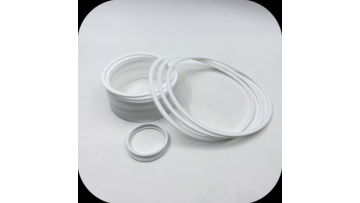 O-ring sealing back-up ring03