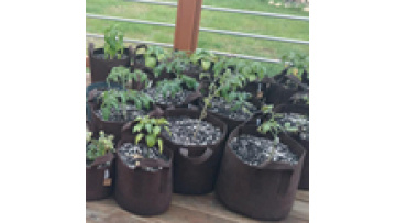 1 / 2 / 3 / 5 / 7 / 10 / 15 / 20 / 25 / 30 Gallon Non Woven Fabric Pots Felt Fabric Pot Plant Grow Bags For Mushroom1
