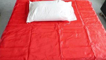 Desiccant        
