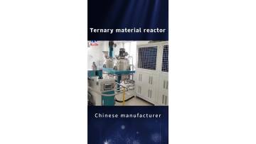 Ternary precursor reactor8