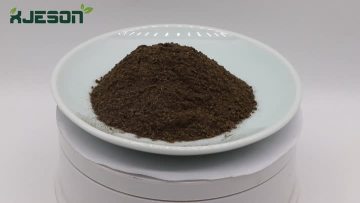 Wormwood Leaf Extract Powder 