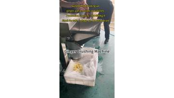 Garlic Ginger Crushing Machine