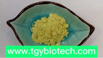 Kaempferol Powder