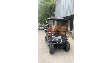 The new 2-seater golf cart with reverse 2 seats is high-end, atmospheric and stylish, giving customers a comfortable driving experience._20241127_17284501
