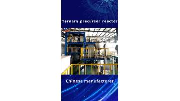 Ternary precursor reactor9