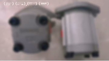 Taiwan Xinhong Gear Pump